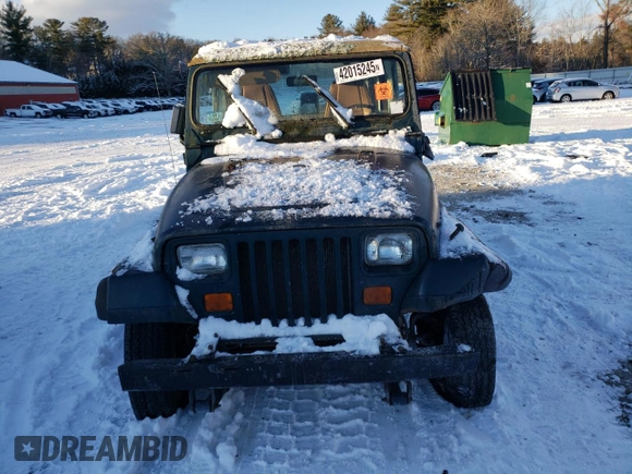 1995 Jeep Wrangler S with VIN 1J4FY19P4SP203275, listed as a Copart auction lot 42015245 with 207,414 mi miles and Clean Title. Bid and sale history available at carsss.com. Image 5.