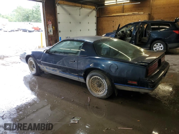 1987 Pontiac Firebird with VIN 1G2FS21S4HN213083, listed as a Copart auction lot 69101254 with 172,214 mi miles and Salvage title. Bid and sale history available at DreamBid. Image 2.