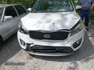 2017 Kia Sorento EX with VIN 5XYPH4A51HG321382, listed as a IAAI auction lot 42299413 with 62,921 mi miles and . Bid and sale history available at DreamBid. Image 6.
