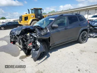 2017 Jeep Cherokee Trailhawk with VIN 1C4PJMBSXHW600230, listed as a Copart auction lot 55606665 with Not provided miles and Salvage title. Bid and sale history available at DreamBid. Image 1.