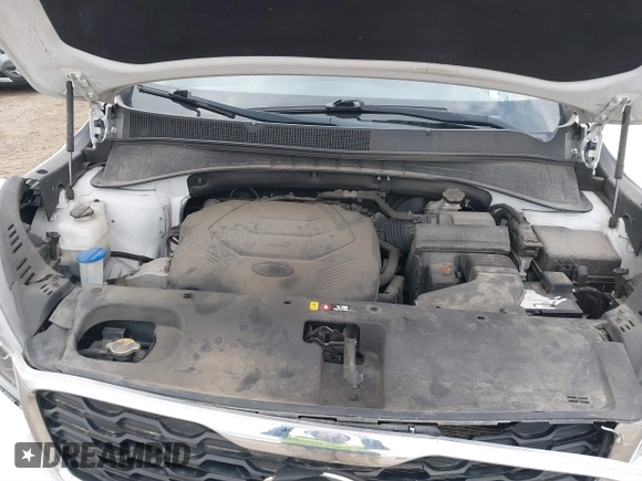 2019 Kia Sorento LX with VIN 5XYPG4A52KG489140, listed as a IAAI auction lot 41899973 with 131,257 mi miles and . Bid and sale history available at DreamBid. Image 10.
