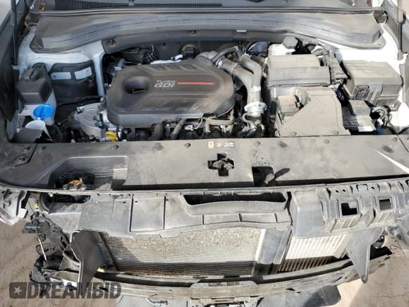 2020 Hyundai Santa Fe SEL with VIN 5NMS3CAA2LH245556, listed as a Copart auction lot 43567925 with 44,670 mi miles and Salvage Title. Bid and sale history available at carsss.com. Image 12.