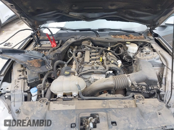 2021 Ford Mustang EcoBoost with VIN 1FA6P8TH1M5152941, listed as a IAAI auction lot 42110646 with 26,673 mi miles and . Bid and sale history available at DreamBid. Image 10.