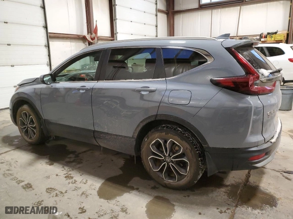 2022 Honda CR-V EX-L with VIN 2HKRW2H83NH209836, listed as a Copart auction lot 81755214 with 93,287 mi miles and Salvage Title. Bid and sale history available at carsss.com. Image 2.