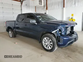 2019 Chevrolet Silverado 1500 Custom with VIN 3GCPYBEH9KG219832, listed as a Copart auction lot 49230885 with 102,272 mi miles and Salvage Title. Bid and sale history available at DreamBid. Image 4.
