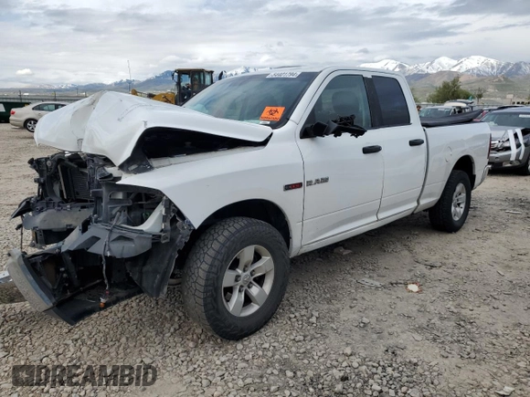 2015 Ram 1500 Tradesman с VIN 1C6RR7FM7FS720612, выставлен на аукционе Copart как лот 54401794 с пробегом 169 389 миль миль и Списание • Salvage title. История ставок и продаж доступна на DreamBid. Изображение 1.