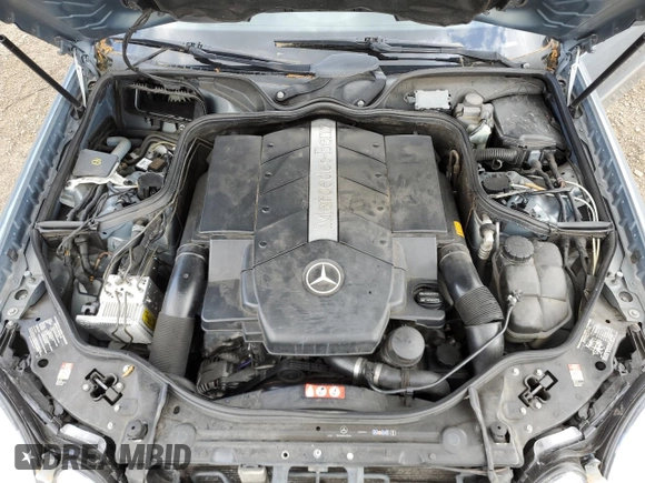 2004 Mercedes-Benz E-Class 5.0L with VIN WDBUF70J34A551104, listed as a Copart auction lot 51404534 with 0 mi miles and Clean Title. Bid and sale history available at carsss.com. Image 11.