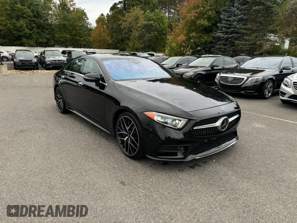 2019 Mercedes-Benz CLS with VIN WDD2J5JB7KA015777, listed as a Copart auction lot 73479054 with 184,835 mi miles and Clean Title. Bid and sale history available at carsss.com. Image 2.