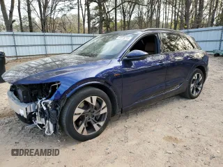 2022 Audi e-tron Premium z VIN WA1AAAGEXNB031738, wystawiony jako Copart lot #51078215 z przebiegiem 24 865 mil mil oraz Szkody całkowita. Historia ofert i sprzedaży dostępna na DreamBid. Obrazek 1.