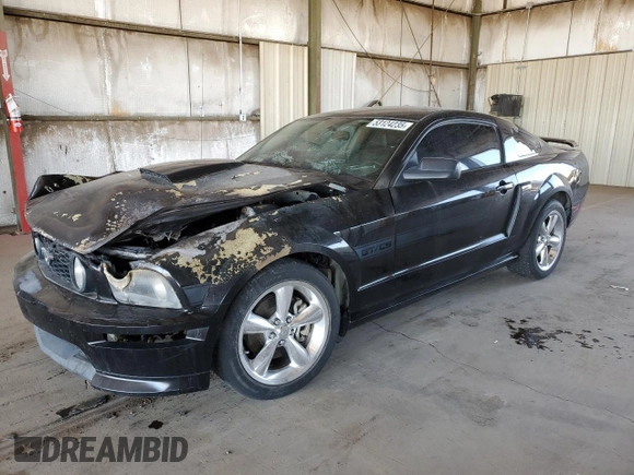 2007 Ford Mustang GT Deluxe with VIN 1ZVHT82H175269324, listed as a Copart auction lot 53124235 with Not Provided miles and Salvage Title. Bid and sale history available at carsss.com. Image 1.
