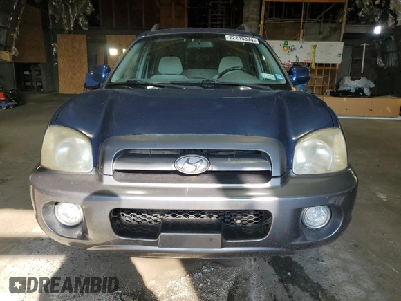 2006 Hyundai Santa Fe GLS with VIN KM8SC13D46U097415, listed as a Copart auction lot 72218874 with 126,556 mi miles and Clean Title. Bid and sale history available at carsss.com. Image 5.