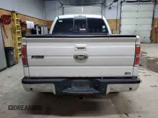 2010 Ford F-150 XL with VIN 1FTFW1EV1AFC96308, listed as a Copart auction lot 61661115 with 226,594 mi miles and Clean title. Bid and sale history available at DreamBid. Image 6.