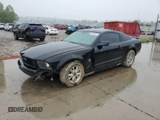 2009 Ford Mustang с VIN 1ZVHT80N295120481, выставлен на аукционе Copart как лот 60484645 с пробегом 135 237 миль миль и Списание • Salvage title. История ставок и продаж доступна на DreamBid. Изображение 1.