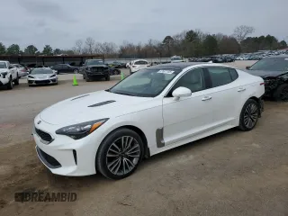 2019 Kia Stinger with VIN KNAE15LA4K6046576, listed as a Copart auction lot 47507105 with 125,091 mi miles and Salvage Title. Bid and sale history available at carsss.com. Image 1.