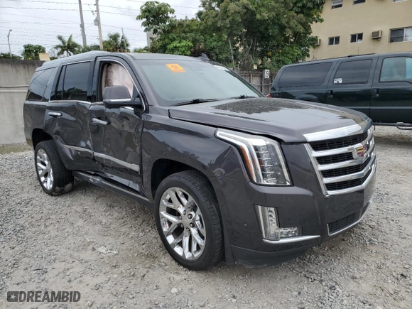 2017 Cadillac Escalade Premium Luxury with VIN 1GYS3CKJ2HR252132, listed as a Copart auction lot 86331604 with 0 mi miles and Salvage Title. Bid and sale history available at carsss.com. Image 4.