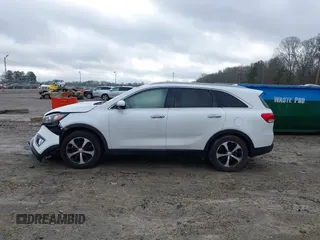 2017 Kia Sorento EX with VIN 5XYPH4A13HG294599, listed as a IAAI auction lot 41207089 with 41,642 mi miles and . Bid and sale history available at DreamBid. Image 14.