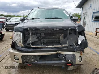 2010 Ford F-150 XL with VIN 1FTFW1EV7AKA98081, listed as a Copart auction lot 58248075 with 262,250 mi miles and Salvage title. Bid and sale history available at DreamBid. Image 5.