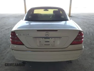 2002 Mercedes-Benz CL with VIN WDBPJ75J12A029458, listed as a Copart auction lot 62533744 with 119,607 mi miles and Salvage Title. Bid and sale history available at carsss.com. Image 6.