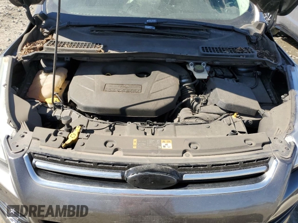 2013 Ford Escape SEL with VIN 1FMCU0H92DUC41279, listed as a Copart auction lot 49709175 with 192,449 mi miles and Salvage Title. Bid and sale history available at carsss.com. Image 11.