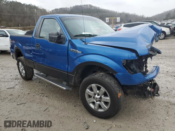 2009 Ford F-150 XL with VIN 1FTRF14WX9KB51584, listed as a Copart auction lot 65973012 with 169,766 mi miles and Salvage title. Bid and sale history available at DreamBid. Image 4.