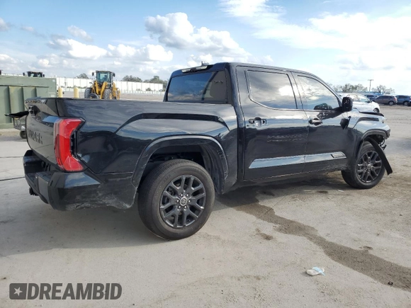 2023 Toyota Tundra 2WD Platinum with VIN 5TFNA5AB0PX026342, listed as a Copart auction lot 44012145 with 34,550 mi miles and Salvage Title. Bid and sale history available at carsss.com. Image 3.