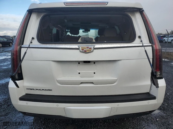 2018 Cadillac Escalade Premium Luxury with VIN 1GYS4CKJXJR243584, listed as a Copart auction lot 81556924 with 0 mi miles and Salvage Title. Bid and sale history available at carsss.com. Image 6.