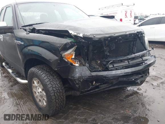 2010 Ford F-150 XL with VIN 1FTEX1C88AFC94335, listed as a IAAI auction lot 41563952 with 198,961 mi miles. Bid and sale history available at carsss.com. Image 6.