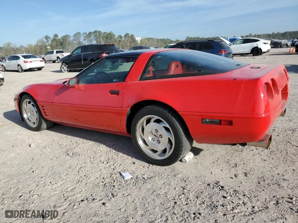 1994 Chevrolet Corvette with VIN 1G1YY22P8R5114158, listed as a Copart auction lot 49653625 with 0 mi miles and Salvage Title. Bid and sale history available at carsss.com. Image 2.