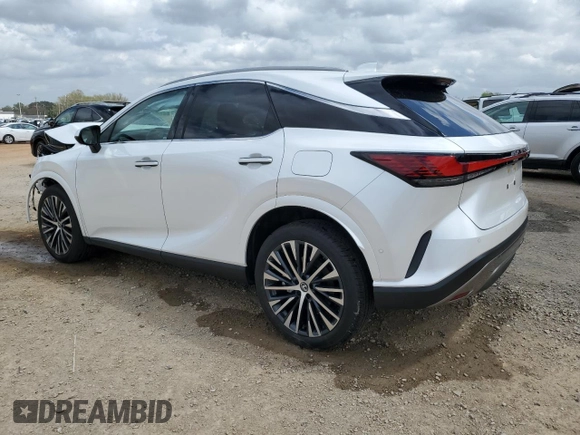 2024 Lexus RX with VIN 2T2BAMBA9RC051983, listed as a Copart auction lot 51764505 with 4,093 mi miles and Salvage Title. Bid and sale history available at carsss.com. Image 2.