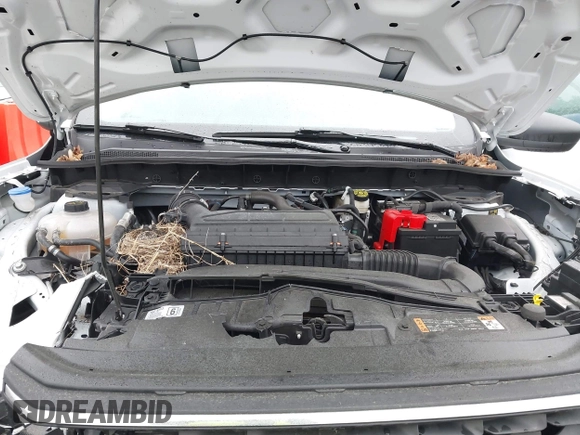 2024 Ford Escape Active with VIN 1FMCU9GN3RUB08475, listed as a IAAI auction lot 42217795 with 41,007 mi miles and . Bid and sale history available at DreamBid. Image 10.