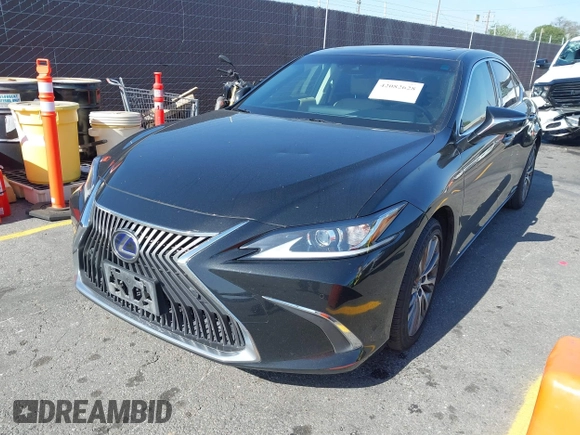 2019 Lexus ES 300h with VIN JTHB21B11K2024098, listed as a IAAI auction lot 42082628 with 92,280 mi miles and . Bid and sale history available at DreamBid. Image 2.