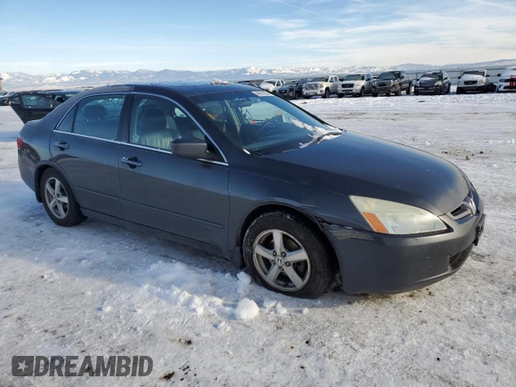 2005 Honda Accord EX with VIN 1HGCM56765A017181, listed as a Copart auction lot 86610234 with 243,279 mi miles and Clean Title. Bid and sale history available at DreamBid. Image 4.