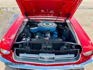 1967 Ford Mustang с VIN 7T03C190482, выставлен на аукционе Copart как лот 65656085 с пробегом 28 531 миль миль и Чистый • Clean title. История ставок и продаж доступна на DreamBid. Изображение 7.