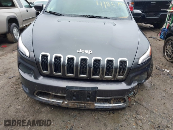 2015 Jeep Cherokee Limited with VIN 1C4PJMDS2FW523010, listed as a IAAI auction lot 41857999 with 162,625 mi miles and . Bid and sale history available at DreamBid. Image 12.