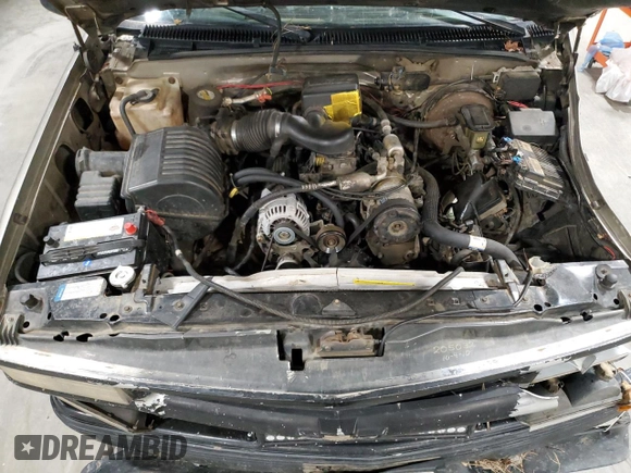 1998 Chevrolet Silverado 1500 with VIN 2GCEK19R9W1105382, listed as a Copart auction lot 87264814 with 290,006 mi miles and Salvage Title. Bid and sale history available at DreamBid. Image 13.