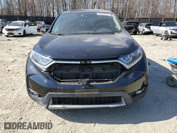 2019 Honda CR-V EX with VIN JHLRW2H51KX013502, listed as a Copart auction lot 46425325 with 118,552 mi miles and Salvage Title. Bid and sale history available at DreamBid. Image 5.