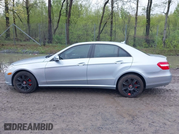 2013 Mercedes-Benz E 350 Luxury with VIN WDDHF8JB6DA663482, listed as a IAAI auction lot 42206803 with 205,236 mi miles and . Bid and sale history available at DreamBid. Image 14.
