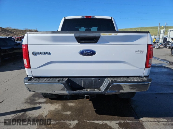 2017 Ford F-150 XL with VIN 1FTEW1EF2HKD75671, listed as a Copart auction lot 53381515 with 133,967 mi miles and Salvage Title. Bid and sale history available at carsss.com. Image 6.