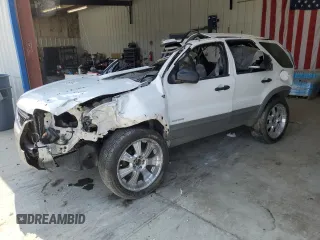 2002 Ford Escape XLT Choice with VIN 1FMCU04172KA69212, listed as a Copart auction lot 62459715 with Not provided miles and Salvage title. Bid and sale history available at DreamBid. Image 1.