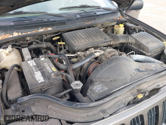 1999 Jeep Grand Cherokee Limited with VIN 1J4GW68N4XC740234, listed as a IAAI auction lot 42499542 with 204,036 mi miles and . Bid and sale history available at DreamBid. Image 10.