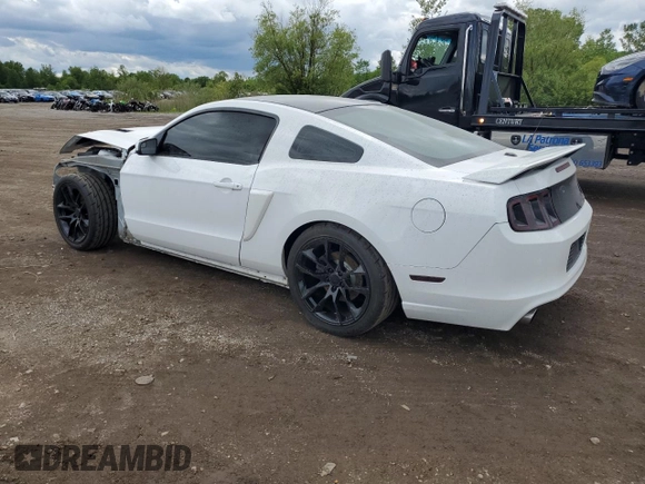 2014 Ford Mustang GT with VIN 1ZVBP8CFXE5295781, listed as a Copart auction lot 58222195 with 118,963 mi miles and Salvage title. Bid and sale history available at DreamBid. Image 2.