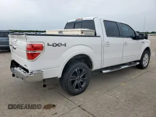 2010 Ford F-150 XL with VIN 1FTFW1EV9AFB45006, listed as a Copart auction lot 59585915 with 219,756 mi miles and Salvage title. Bid and sale history available at DreamBid. Image 3.