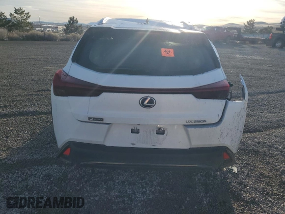 2020 Lexus UX 250h F Sport z VIN JTHE9JBHXL2033485, wystawiony jako Copart lot #86924894 z przebiegiem Nie podano mil oraz Szkoda całkowita • Salvage title. Historia ofert i sprzedaży dostępna na DreamBid. Obrazek 6.