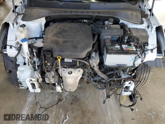 2020 Kia Sorento LX V6 with VIN 5XYPGDA53LG631156, listed as a Copart auction lot 44070025 with 114,084 mi miles and Salvage Title. Bid and sale history available at carsss.com. Image 12.