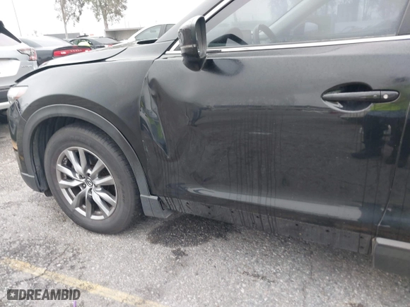 2019 Mazda CX-9 Touring with VIN JM3TCBCY3K0313068, listed as a IAAI auction lot 41881524 with 79,380 mi miles. Bid and sale history available at carsss.com. Image 18.