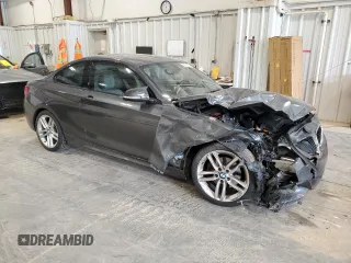 2015 BMW 2 Series 228i with VIN WBA1F5C59FV343633, listed as a Copart auction lot 60329925 with 123,644 mi miles and Non repairable. Bid and sale history available at DreamBid. Image 4.