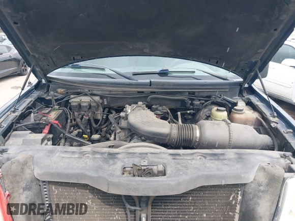 2004 Ford F-150 XLT with VIN 1FTRW12W44KB14204, listed as a IAAI auction lot 42141730 with 246,970 mi miles and . Bid and sale history available at DreamBid. Image 10.