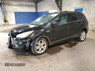 2013 Ford Escape SE with VIN 1FMCU0GX3DUA58859, listed as a Copart auction lot 55581025 with 73,223 mi miles and Clean title. Bid and sale history available at DreamBid. Image 1.