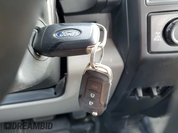 2019 Ford F-150 XL z VIN 1FTEX1EP6KKD76965, wystawiony jako IAAI lot #42631391 z przebiegiem 143 283 mil mil oraz . Historia ofert i sprzedaży dostępna na DreamBid. Obrazek 20.