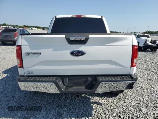 2016 Ford F-150 XLT with VIN 1FTEW1EP3GFC13385, listed as a Copart auction lot 53094115 with 136,272 mi miles and Salvage Title. Bid and sale history available at carsss.com. Image 6.